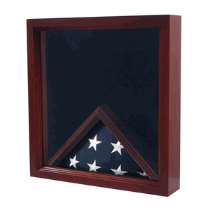 Army Flag Combination Flag Medal and Award Display Case