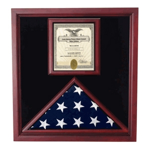Award and Flag Display Case Display Case