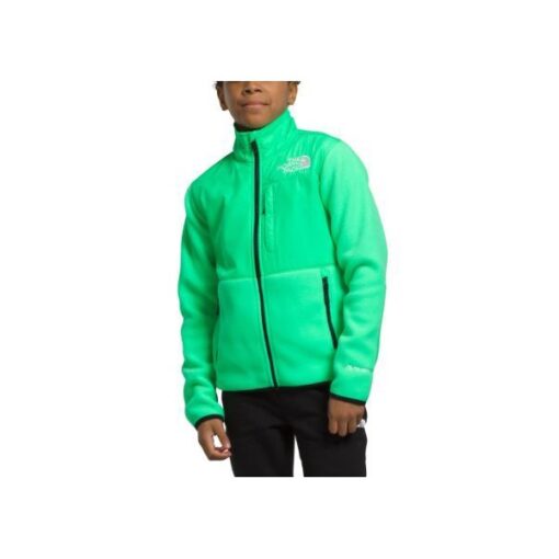 Kids' The North Face Denali Fleece Jacket Large Chlorophyll Green