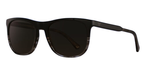 EA 4099 Sunglasses Brown/Tr Striped Brown